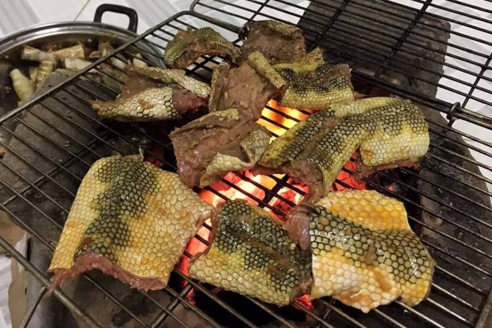 Nhiều món ngon từ con đẻn biển