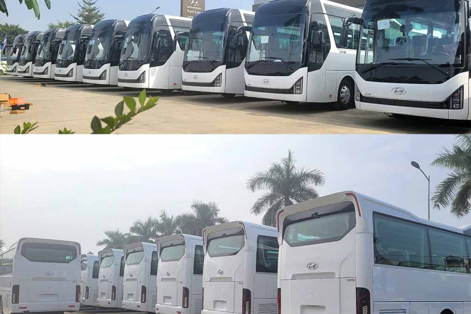 Cung cấp đa dạng các loại xe du lịch cho mọi phân khúc khách hàng