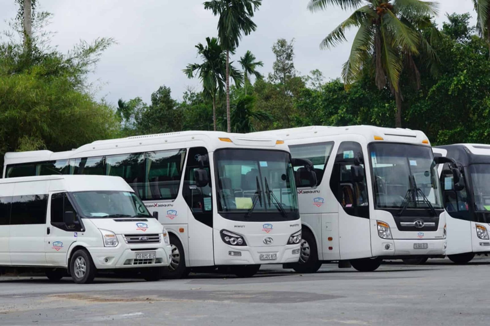 Nhu cầu thuê xe du lịch đi Phong Nha ngày càng tăng