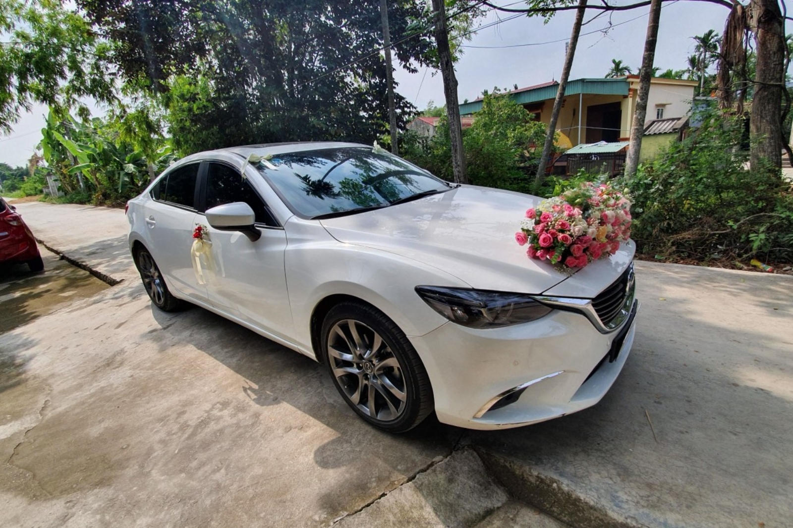 Mẫu xe hoa Mazda