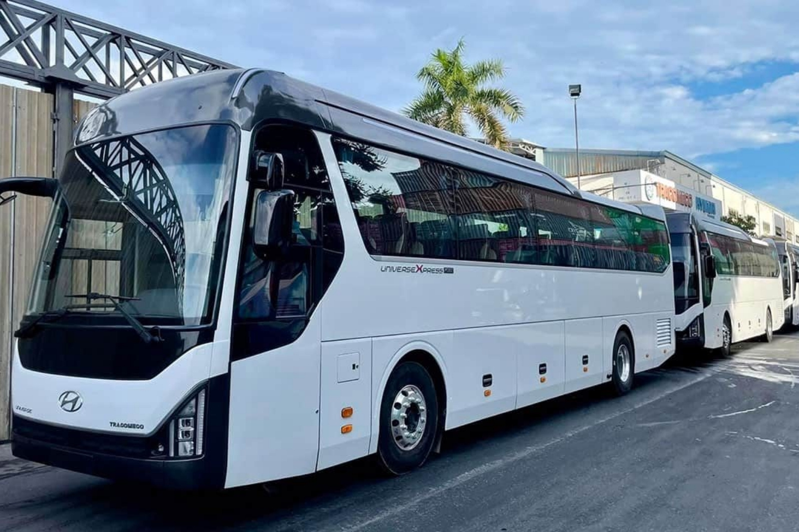 Nguồn xe 45 chỗ đa dạng, tiện nghi, thoải mái