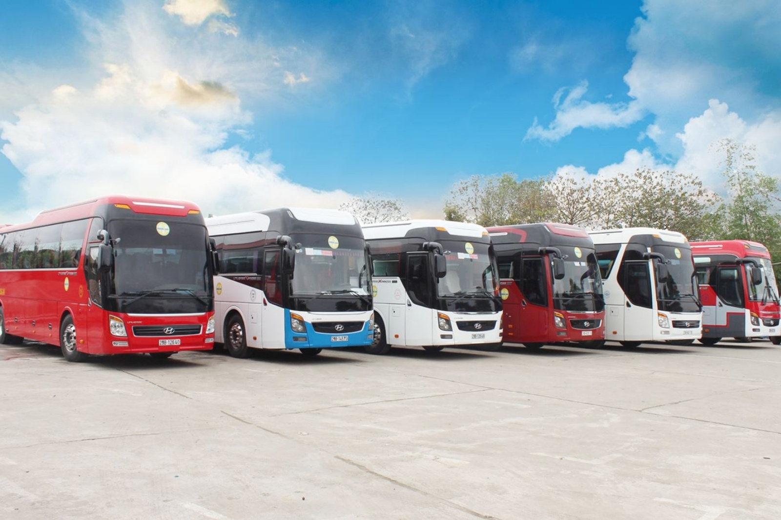 Nguồn xe đa dạng, luôn sẵn sàng phục vụ khách hàng