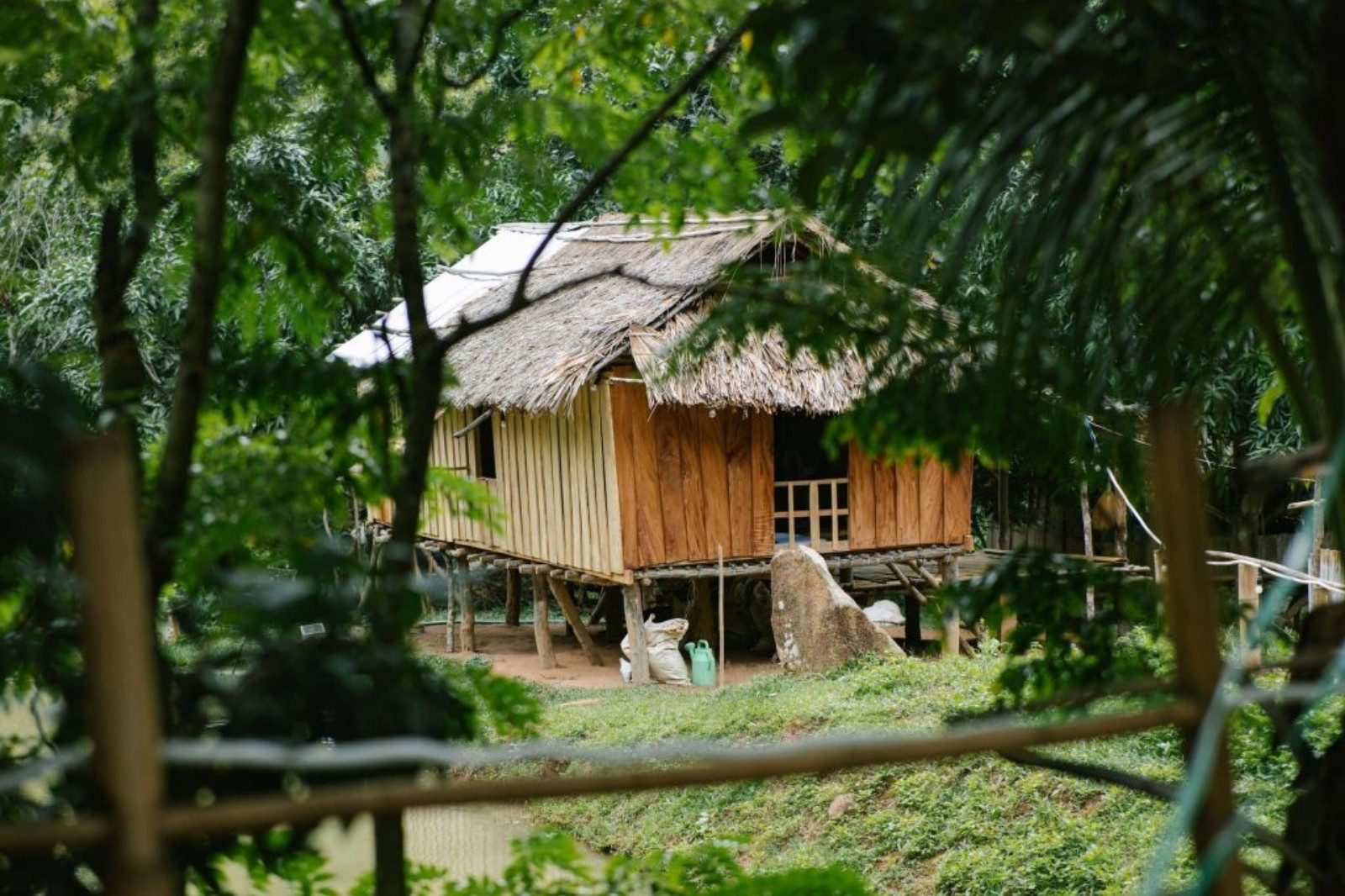 Ve-dep-binh-yen-khien-bao-nguoi-thon-thuc-cua-Chenh-venh