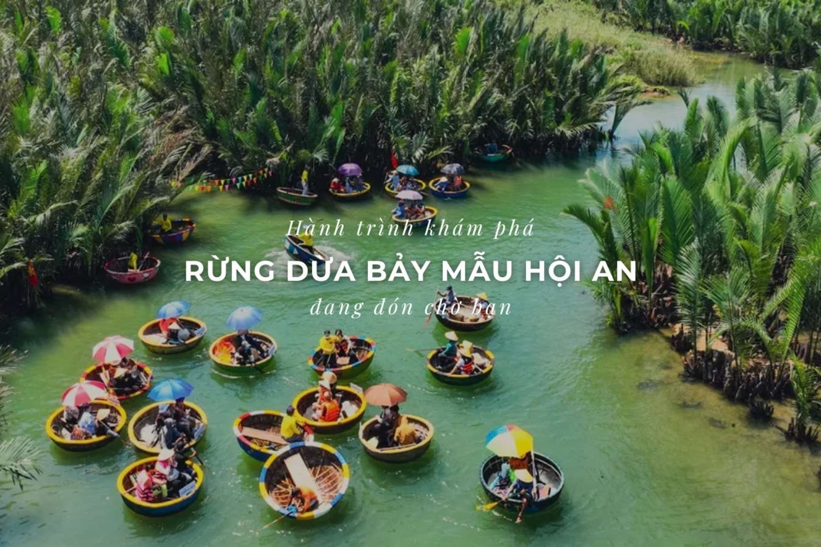 Hành trình khám phá rừng dừa Bảy Mẫu Hội An